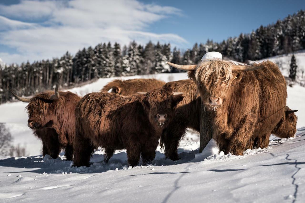 Naturapart Bruneck Exteriör bild
